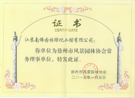 榮譽證書